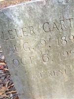 Leler Garth