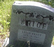 Lelia Carolyn Pratt Brice Lelia Carolyn Pratt Brice