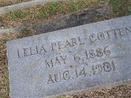 Lelia Pearl Cotten Lelia Pearl Cotten