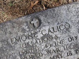 Lemone Calico Lemone Calico
