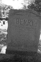 Lemuel Brook Berry