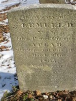 Lemuel D. Apgar Lemuel D. Apgar