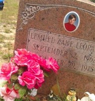 Lemuel Zane Leopard
