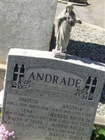 Lena Andrade