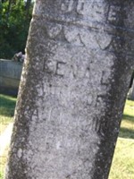 Lena L Tolbert Fleming