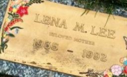 Lena M Lee