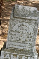 Lenoir Allen Lenoir Allen