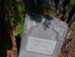 Lenor Acosta Martinez