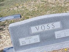 Lenora Voss
