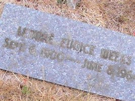 Lenore Eunice Weeks