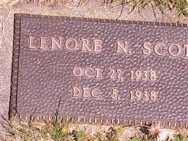 Lenore N Scott