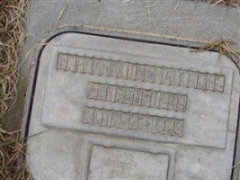 Leo Franklin Hall, Jr