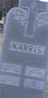 Leo G. Karris