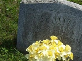 Leo H. Shultz