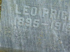 Leo Price Leo Price