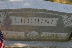 Leo T Luchini