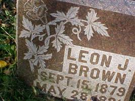Leon J Brown