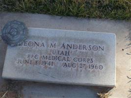 Leona M Anderson