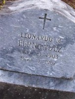 Leonardo M Fernandez
