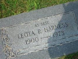 Leota Pearl Harness