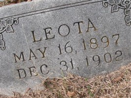 Leota Trees