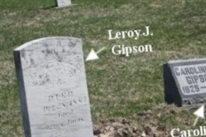 Leroy Gipson
