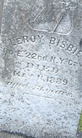 Leroy Hiram Bisbee