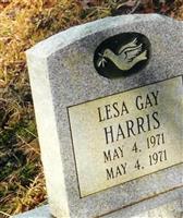 Lesa Gay Harris