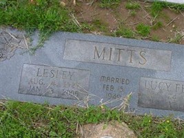 Lesley Mitts Lesley Mitts