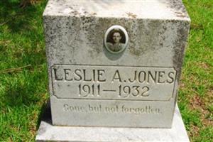 Leslie A. Jones