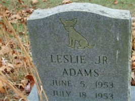 Leslie Adams, Jr Leslie Adams, Jr