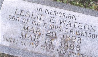Leslie E Watson