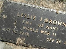 Leslie J Brown