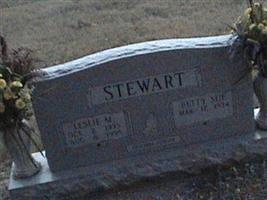 Leslie M Stewart