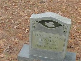 Lessie Wilson Haskins