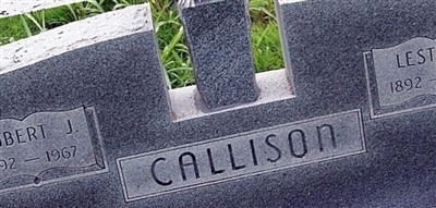 Lesta A Callison Lesta A Callison