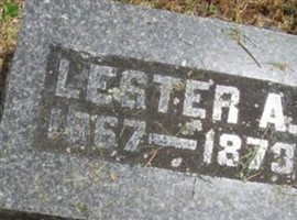 Lester A Terrell