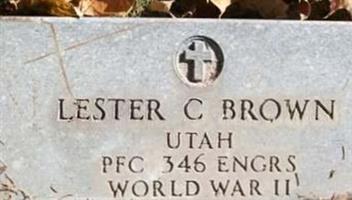 Lester C Brown