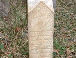 Lester Coe Stone Lester Coe Stone