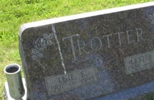 Lester D Trotter