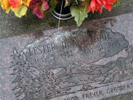 Lester Duane Cook Lester Duane Cook