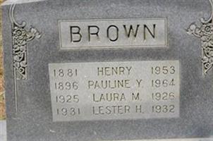 Lester H Brown