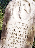 Lester W Sumner