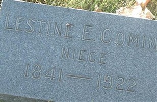 Lestine E Comins (2241483.jpg)