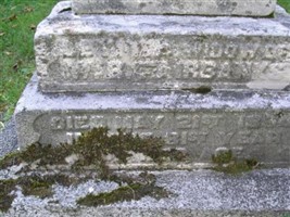 Letitia Collins Fairbanks