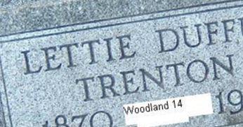 Lettie Duffus Trenton