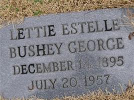 Lettie Estelle Bushey George