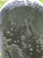 Letty Hoar