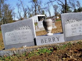 Leva Ann Hood Berry