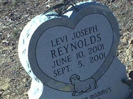 Levi Joseph Reynolds